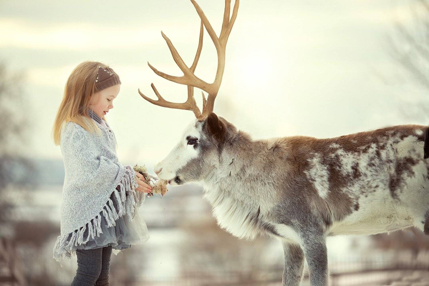 , Юлия Соболева