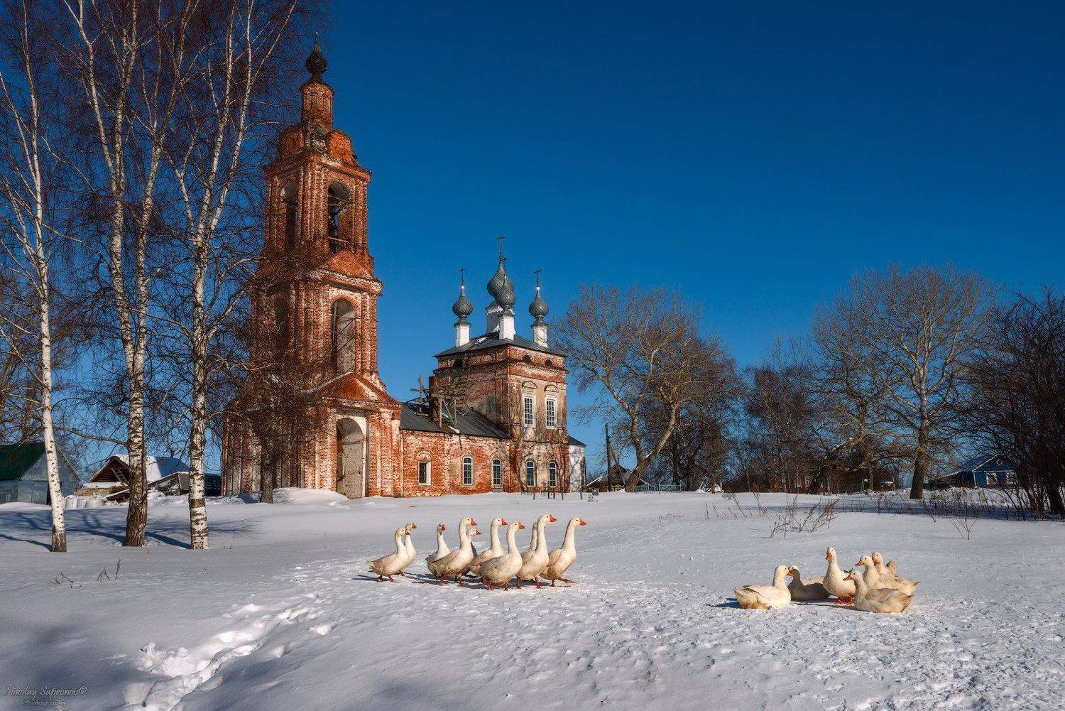 фототур, ивановская область, гуси, зима, снег, провинция, храм, церковь, 8 марта, международный женский день, Николай Сапронов