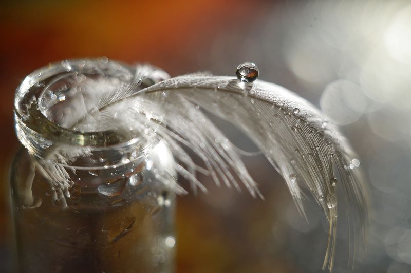 . фото превью