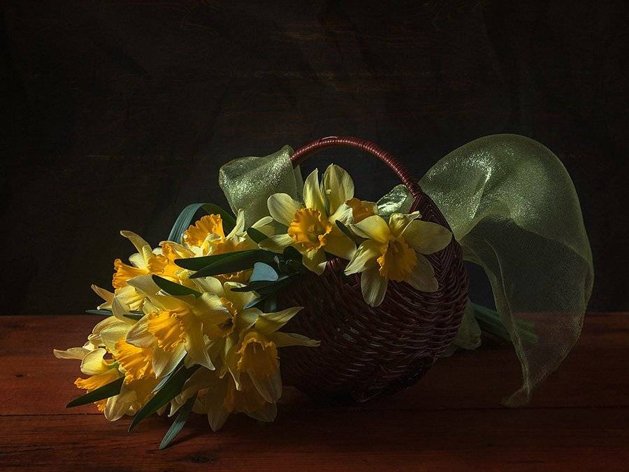 , Анжелика Королева