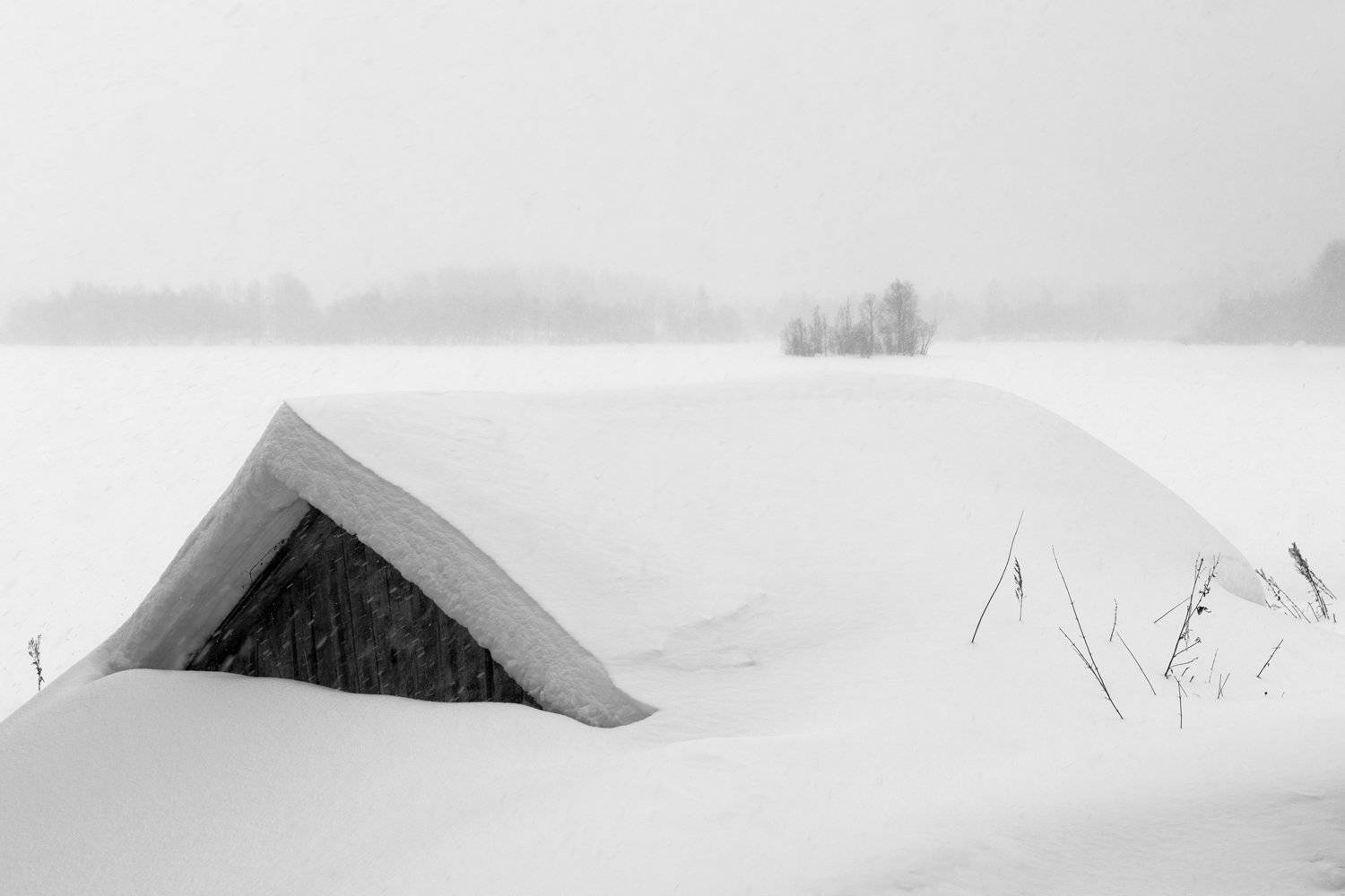 , Крицак Ольга