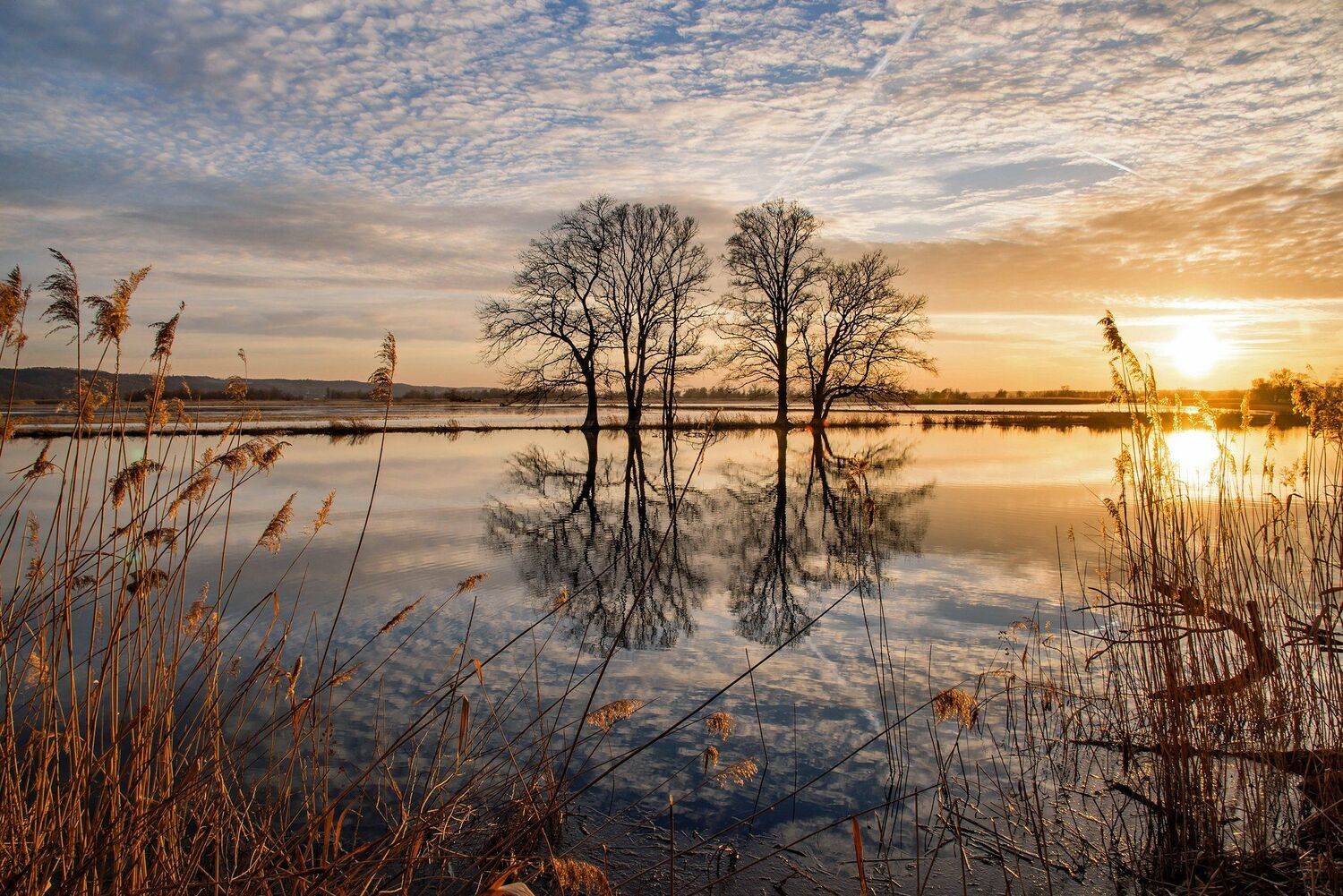 nationalpark unteres odertal water trees dranikowski mirror sunset sky sunlight sunrise sun 24mm, Radoslaw Dranikowski
