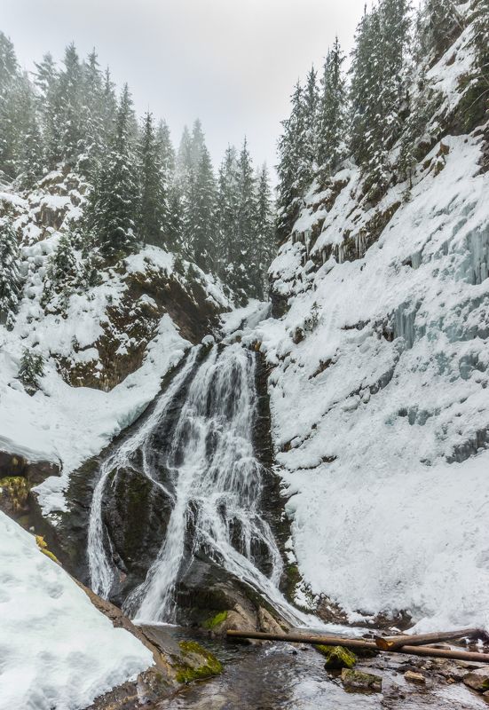 landscape winter mountains snow fog photography photo canvas wallpaper nature trees frame view waterfall Winter in the Vladeasa Mountains.  фото превью