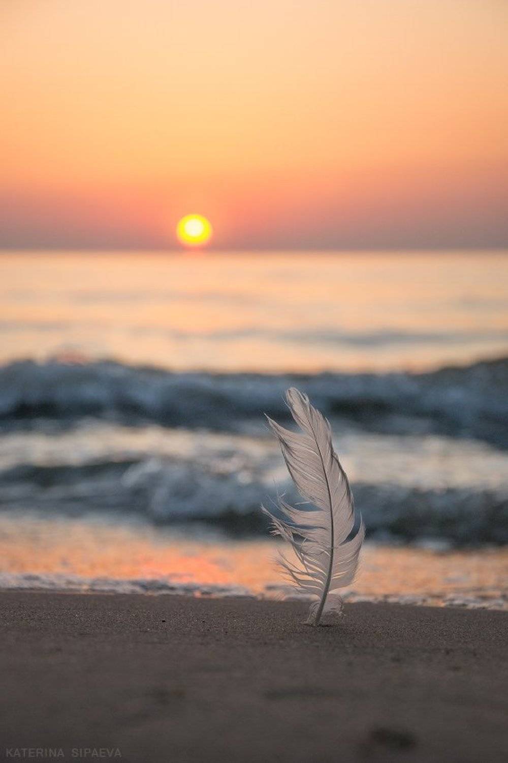 балтийское море, пейзаж, закат, Сипаева Катерина