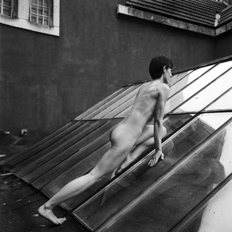 Cat on a Hot Tin Roof фото превью