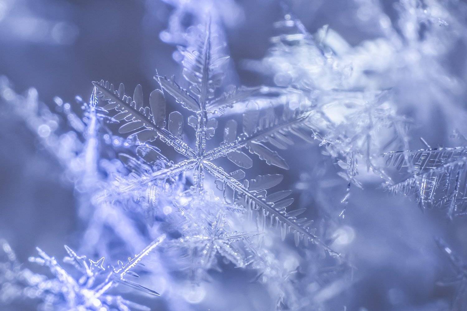 , Евгения Муравская