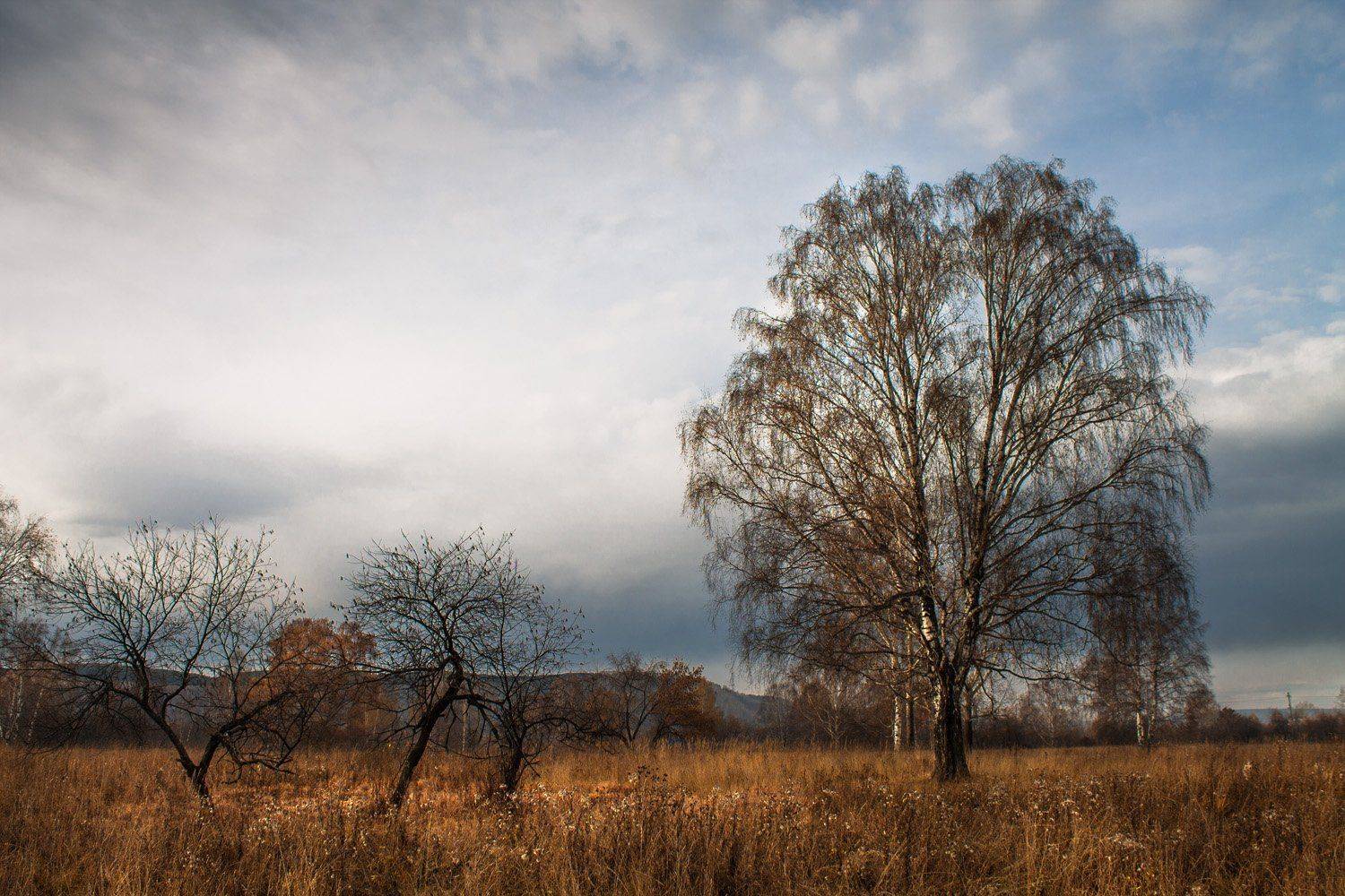осень, поздняя осень, пасмурно, Курочкина Диана