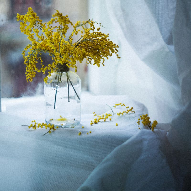 Начни сначала фото превью