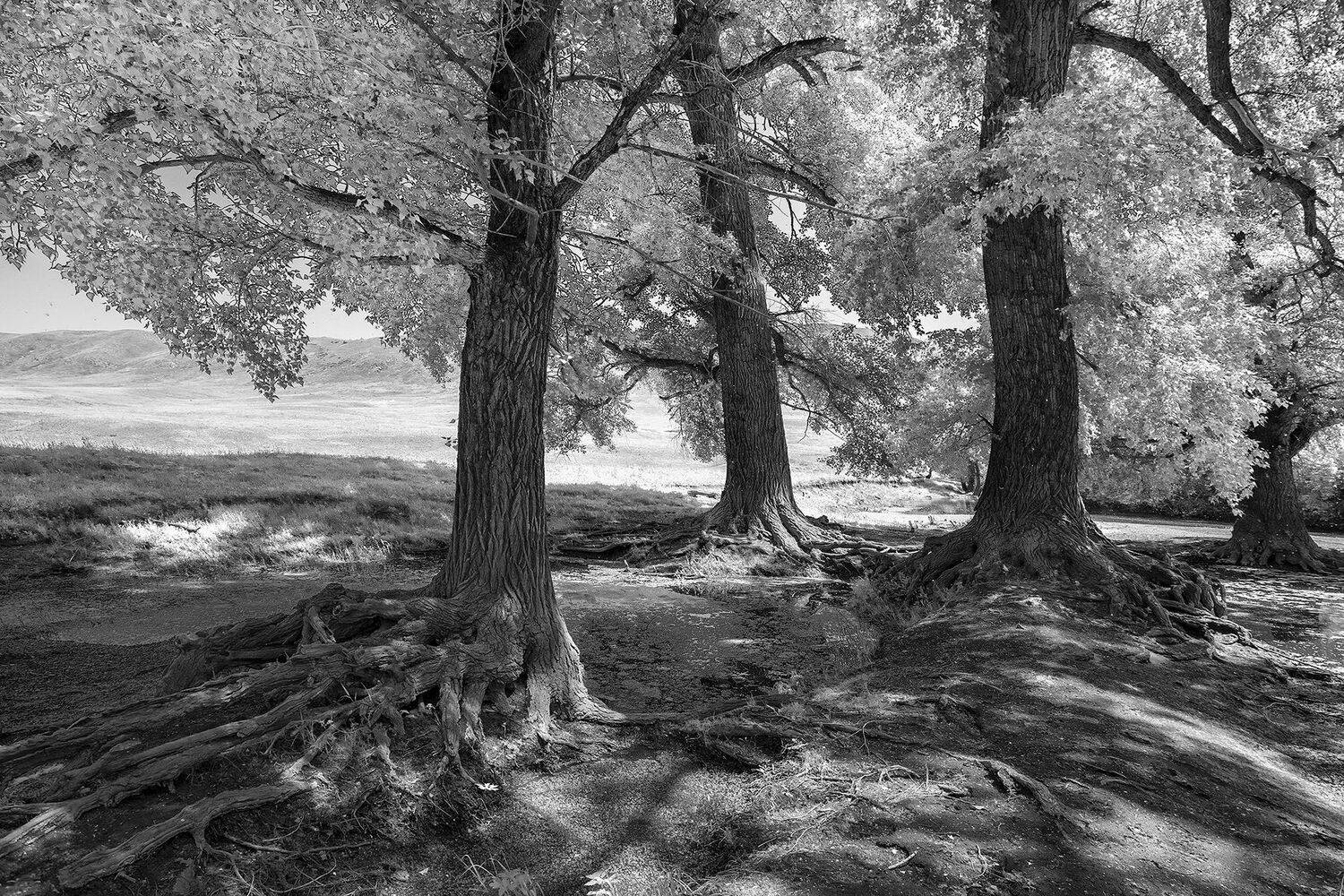 южный, урал, долгие горы, орск, новотроицк, Качурин Алексей