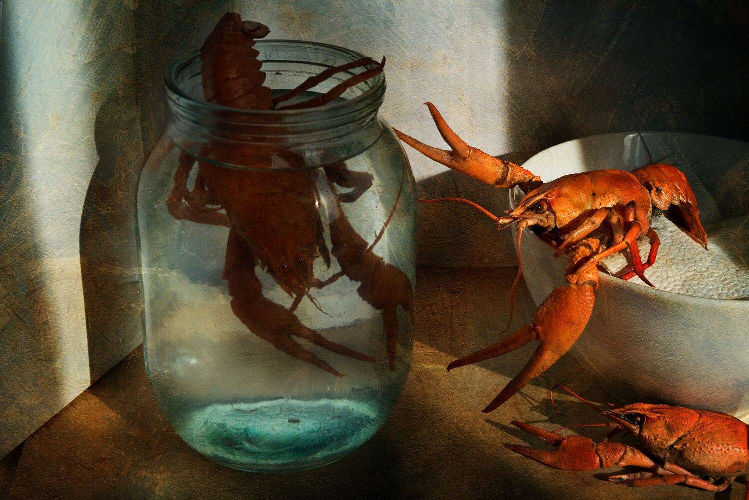 , Ирина Данилова