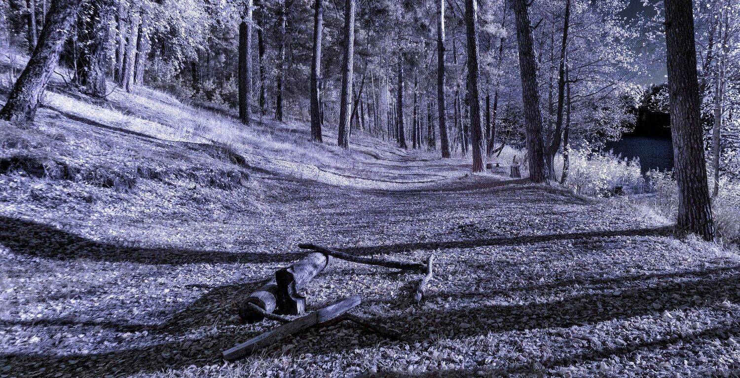 infrared,ик-фото,инфракрасное фото, инфракрасная фотография, пейзаж, осень, беларусь, Sixten ( Сергей )