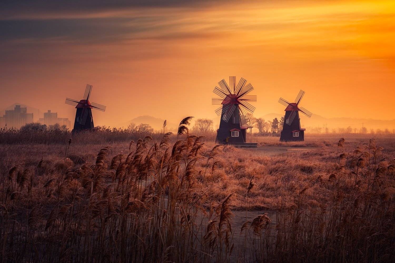 windmill morning spring fog sunrise clouds wind focus_stacking focus color light korea, Seo Tiger