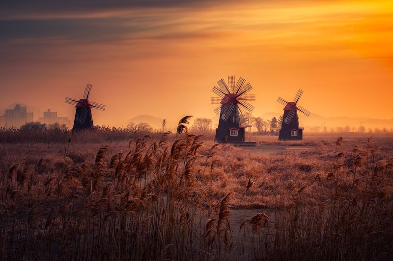 windmill morning spring fog sunrise clouds wind focus_stacking focus color light korea swing фото превью