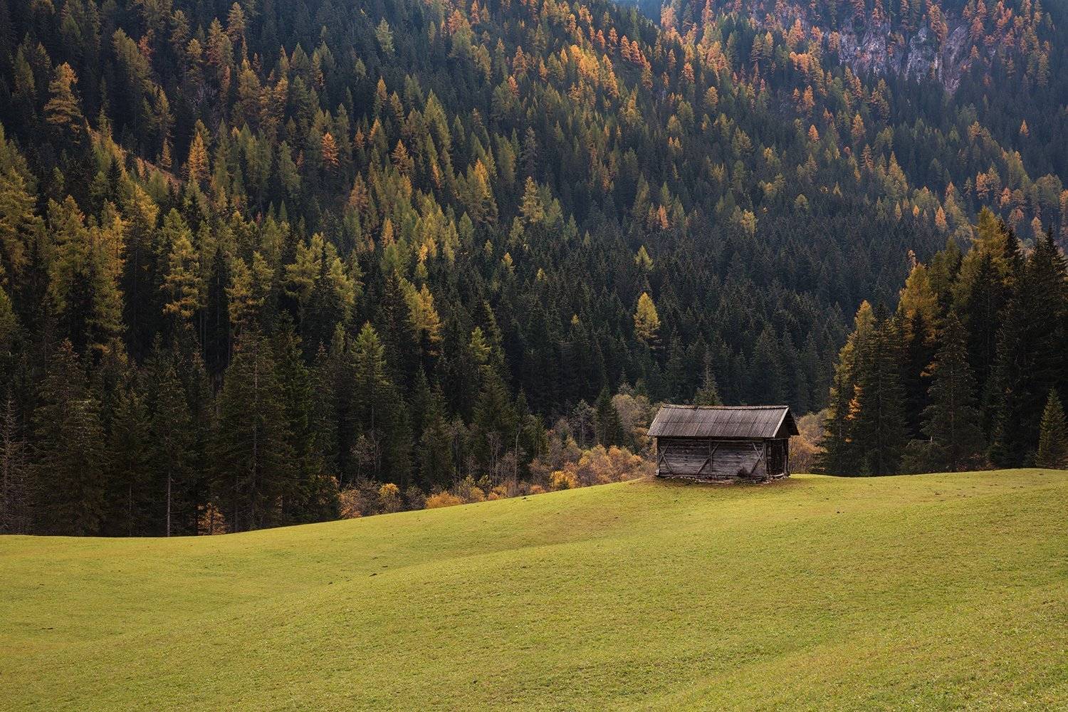 , Игорь Дубровский