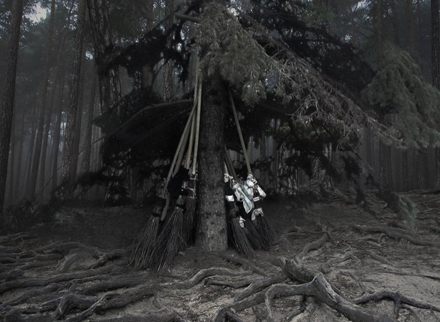 метла, лес, шабаш, фото на телефон, юмор,, Андрей Угренинов