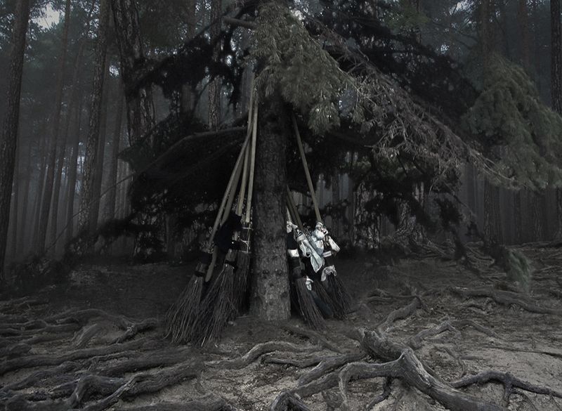 метла, лес, шабаш, фото на телефон, юмор, Parking фото превью