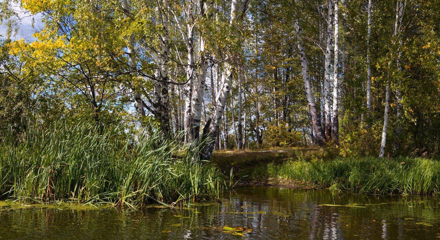 , Герман Корнилов