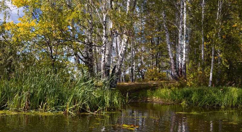 Стёжира. Дельта. Начало осени фото превью