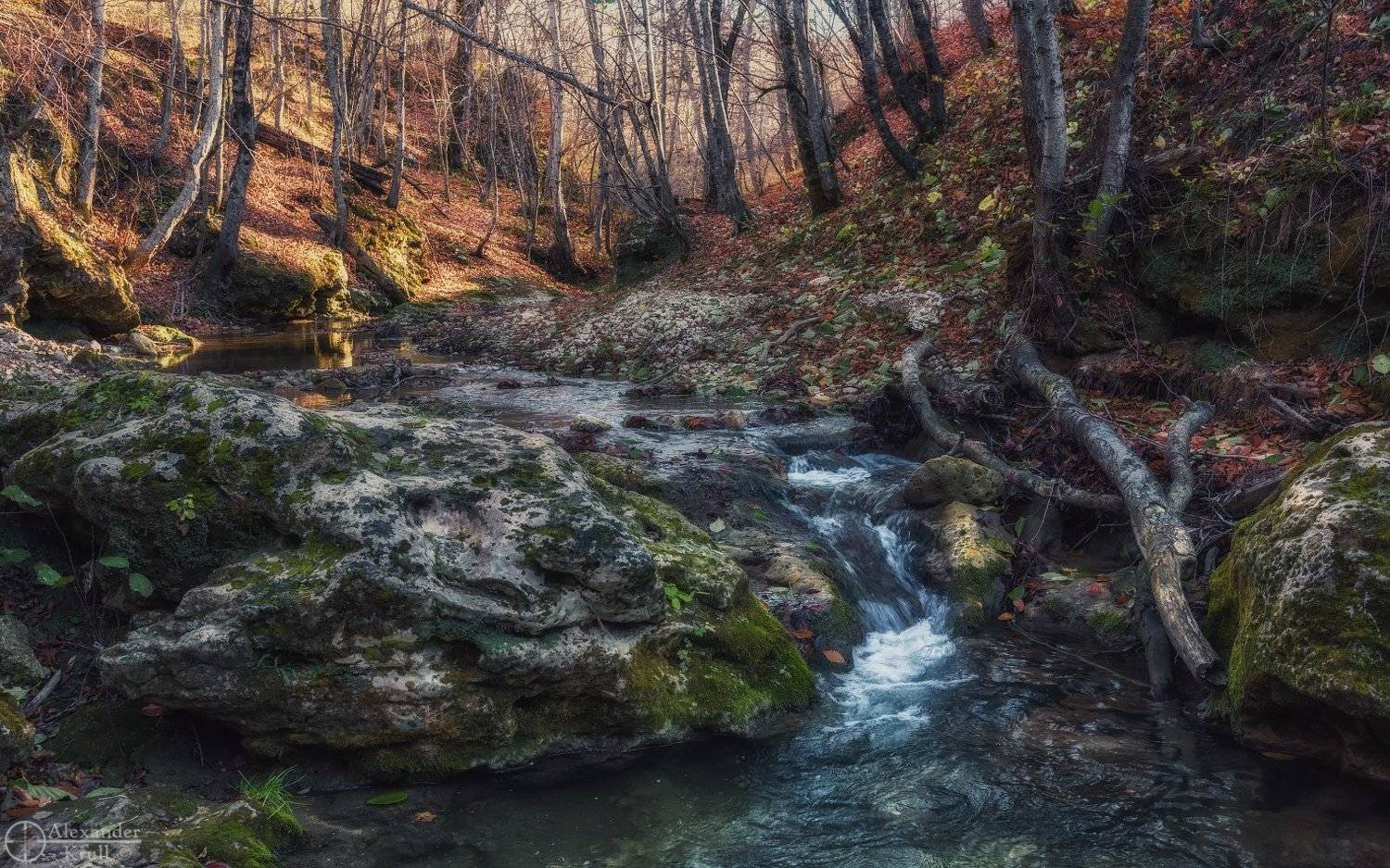 , Александр Круль