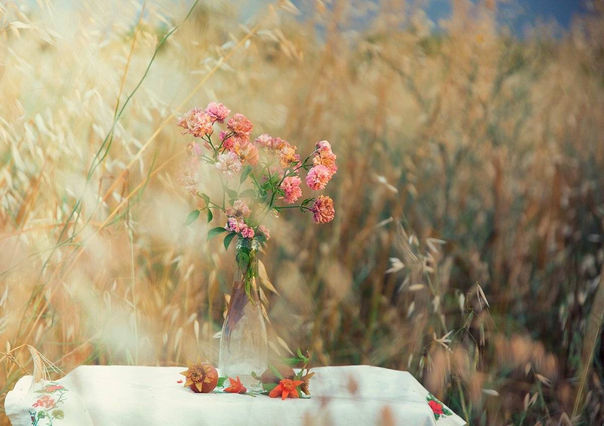 stillife,flower,roses,rural,impression, mustafa yagci