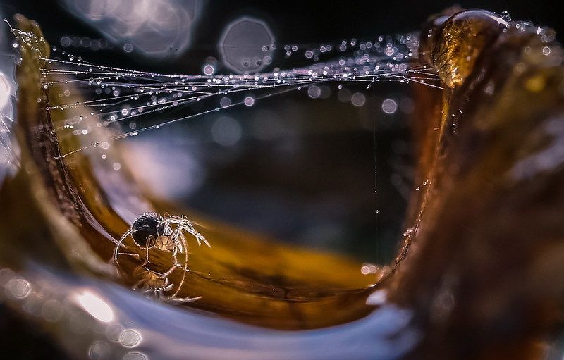 Серфингист фото превью