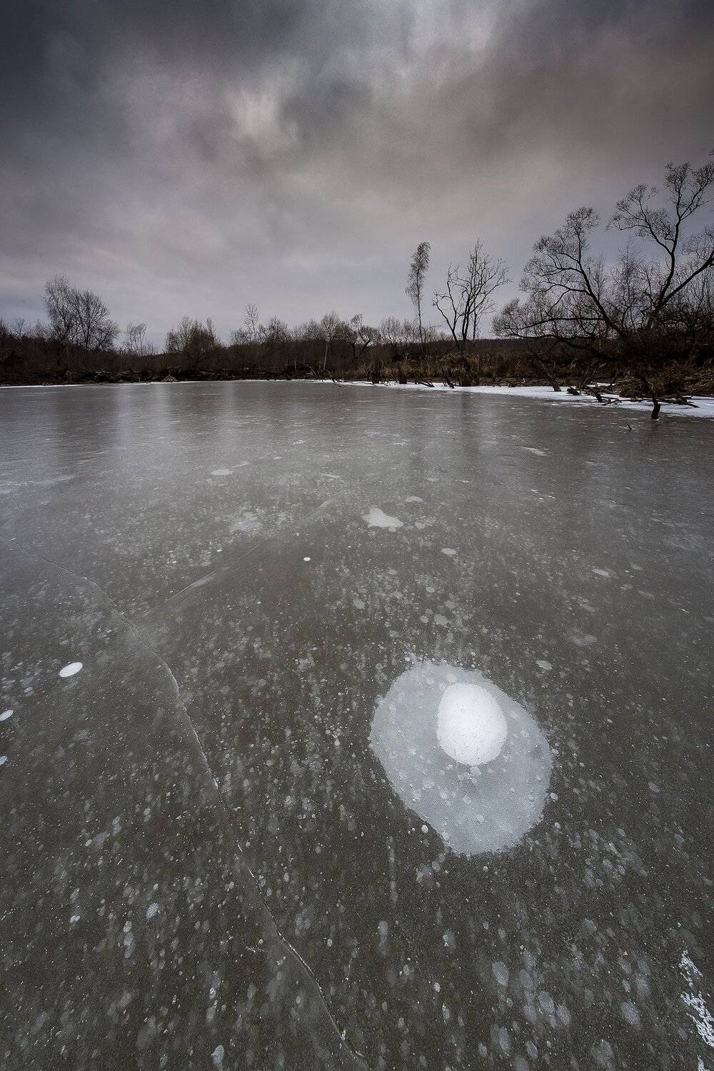 , Виталий Стрельцов