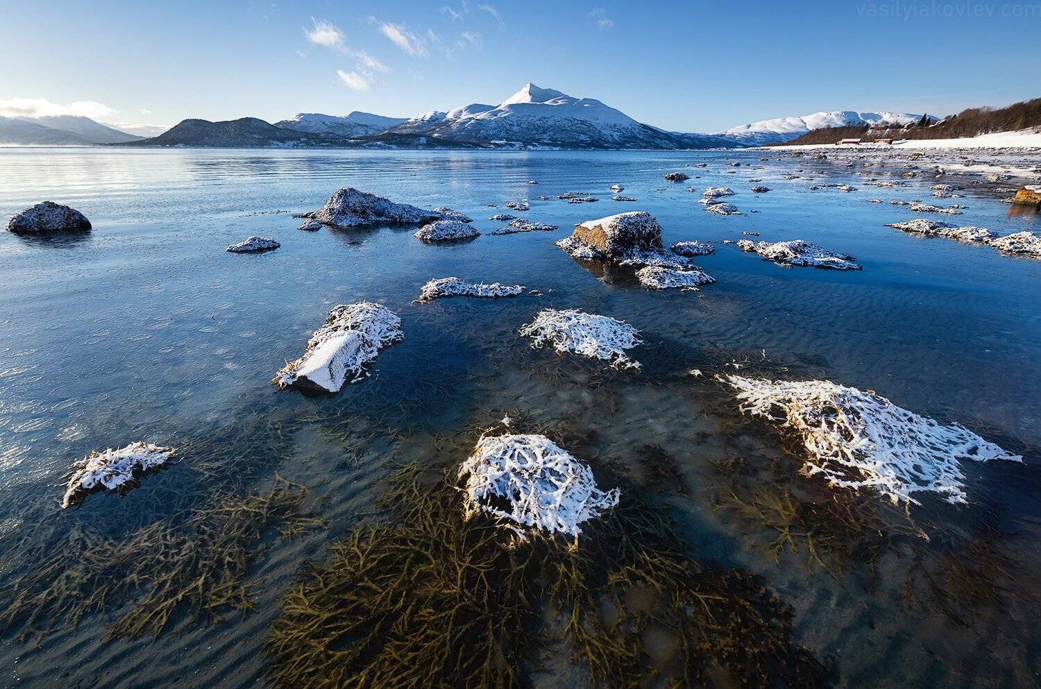 норвегия, Василий Яковлев