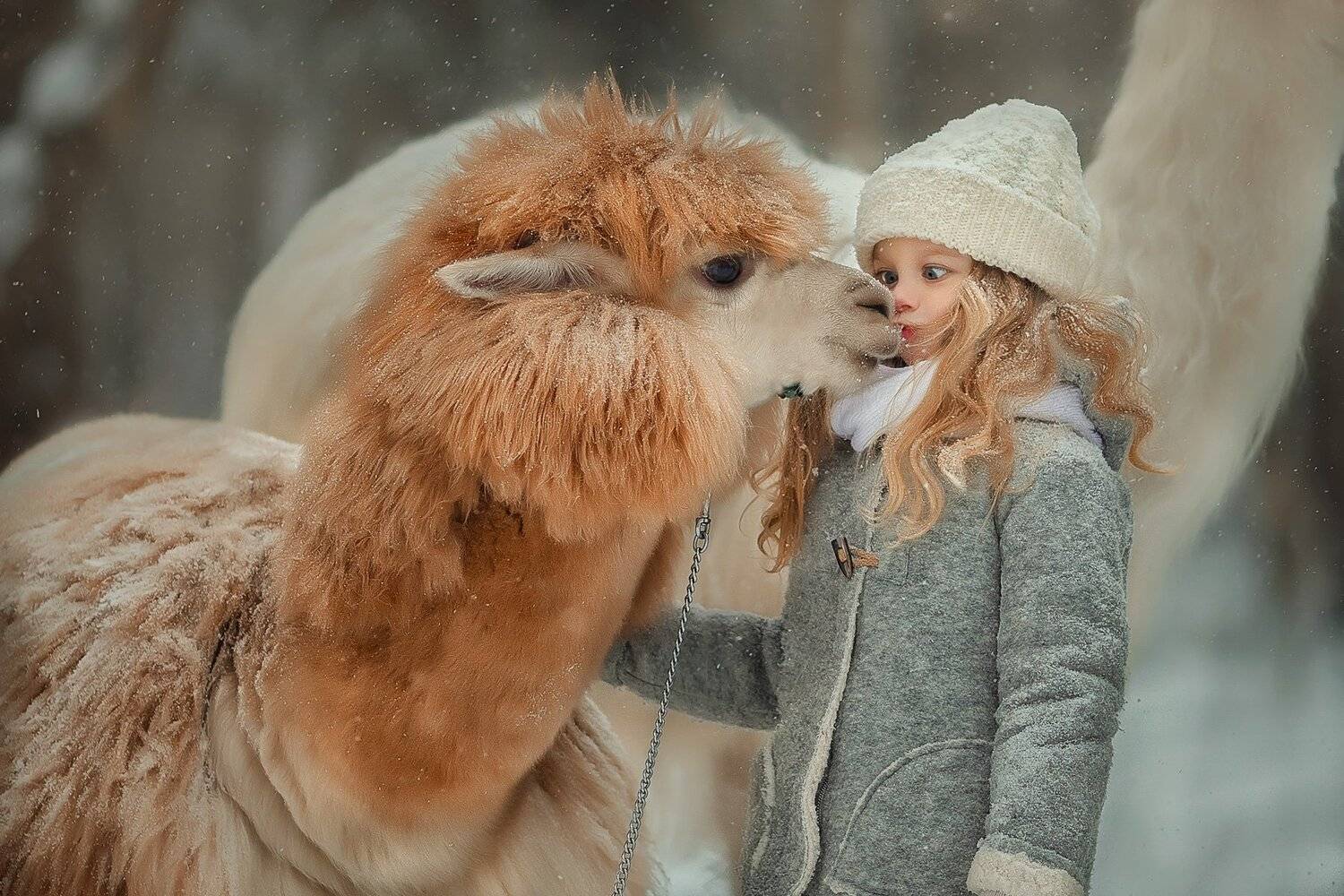 , Юлия Соболева