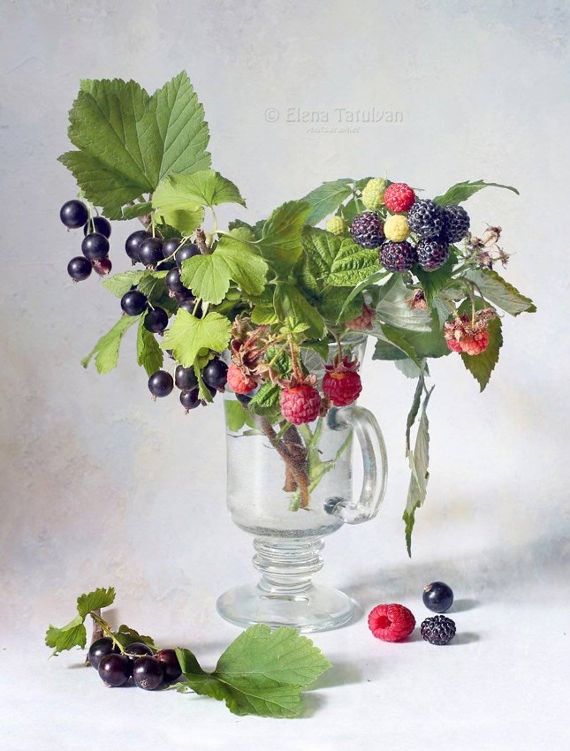 ягоды, ветки, малина, смородина, лето,, Елена Татульян