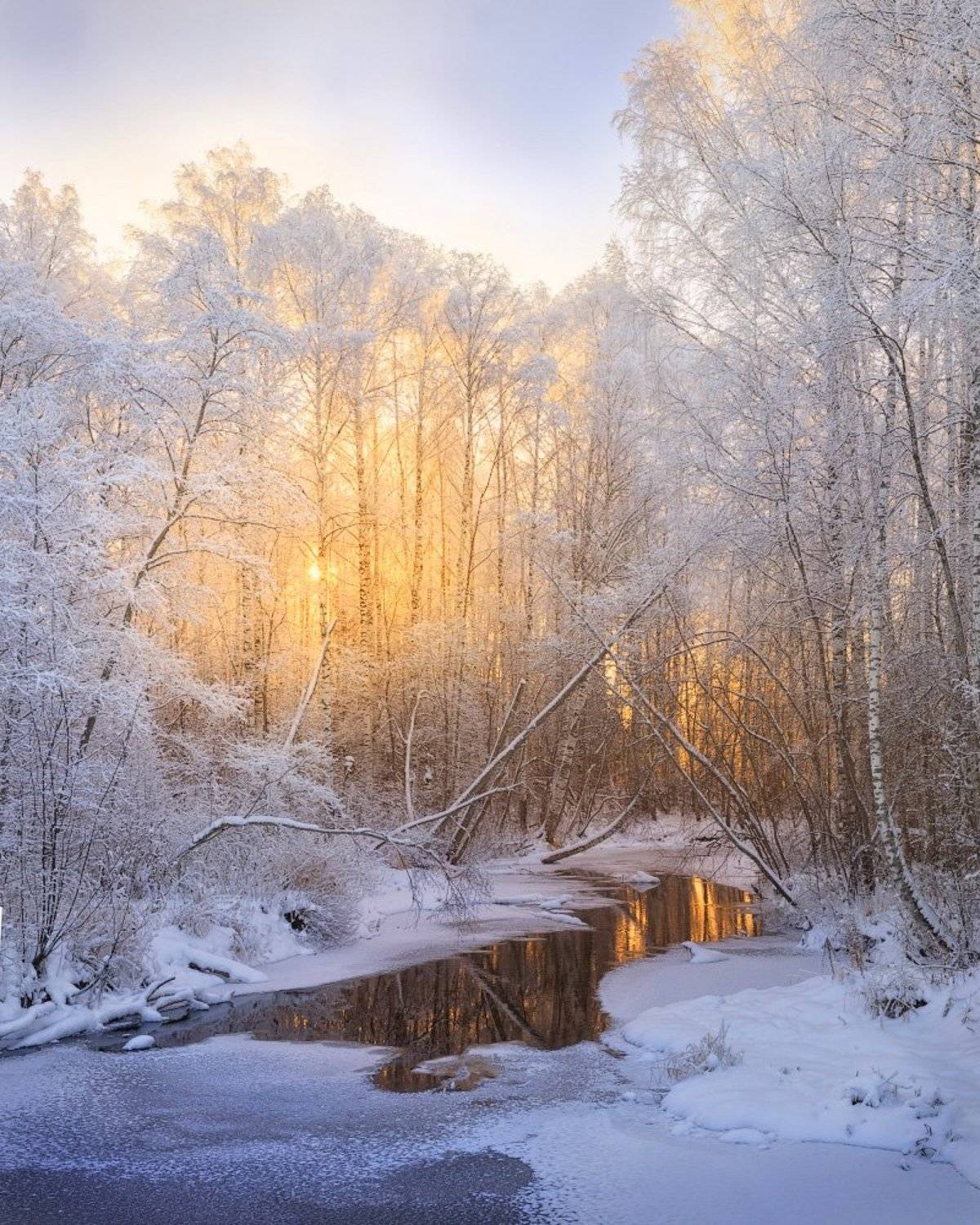 зима, изморозь, река, куржак, Дмитрий Медянцев