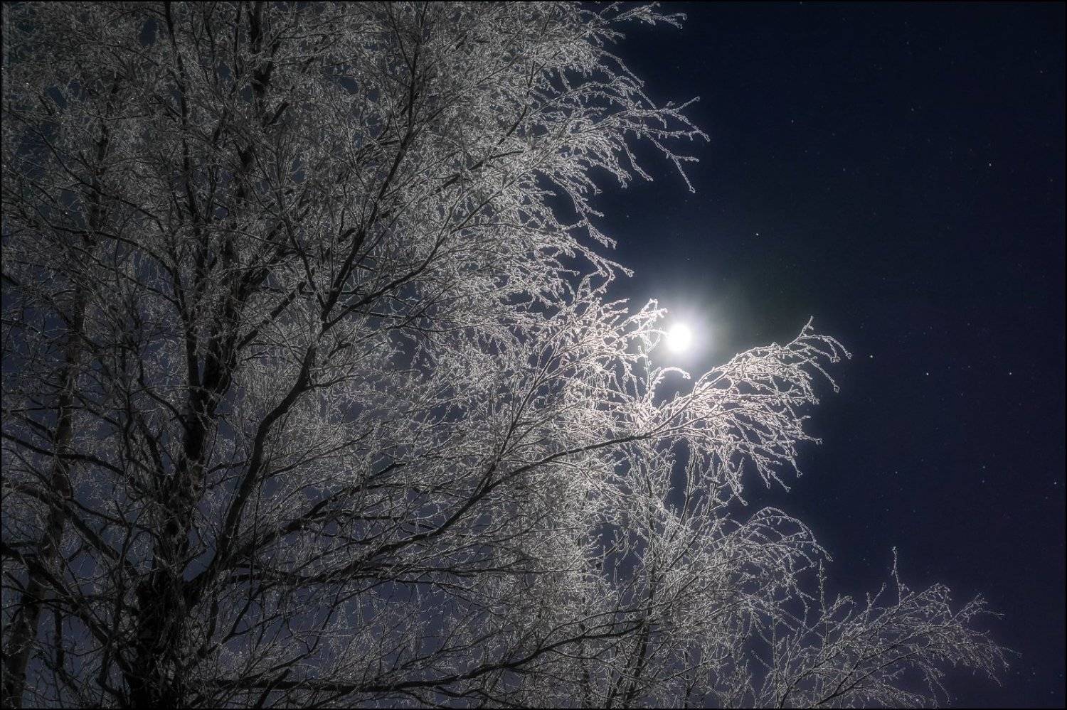 печора,ночь,луна, Игорь Подобаев