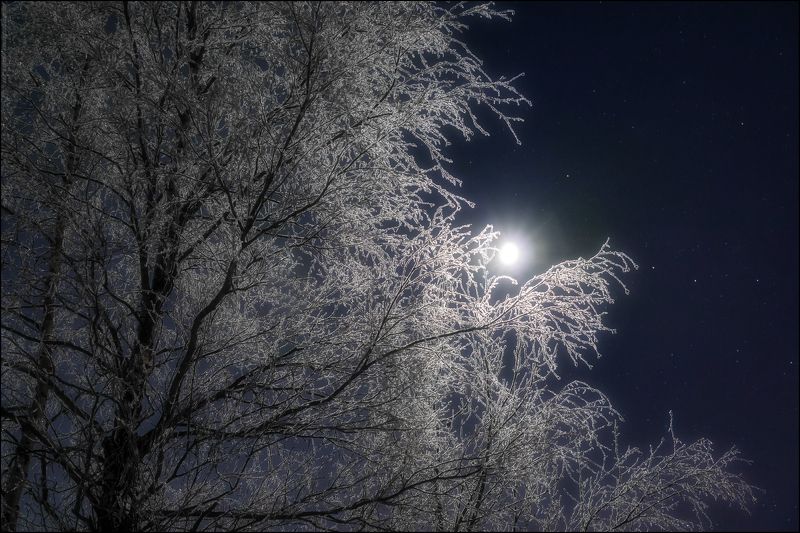 печора,ночь,луна В ночном свете Луны фото превью