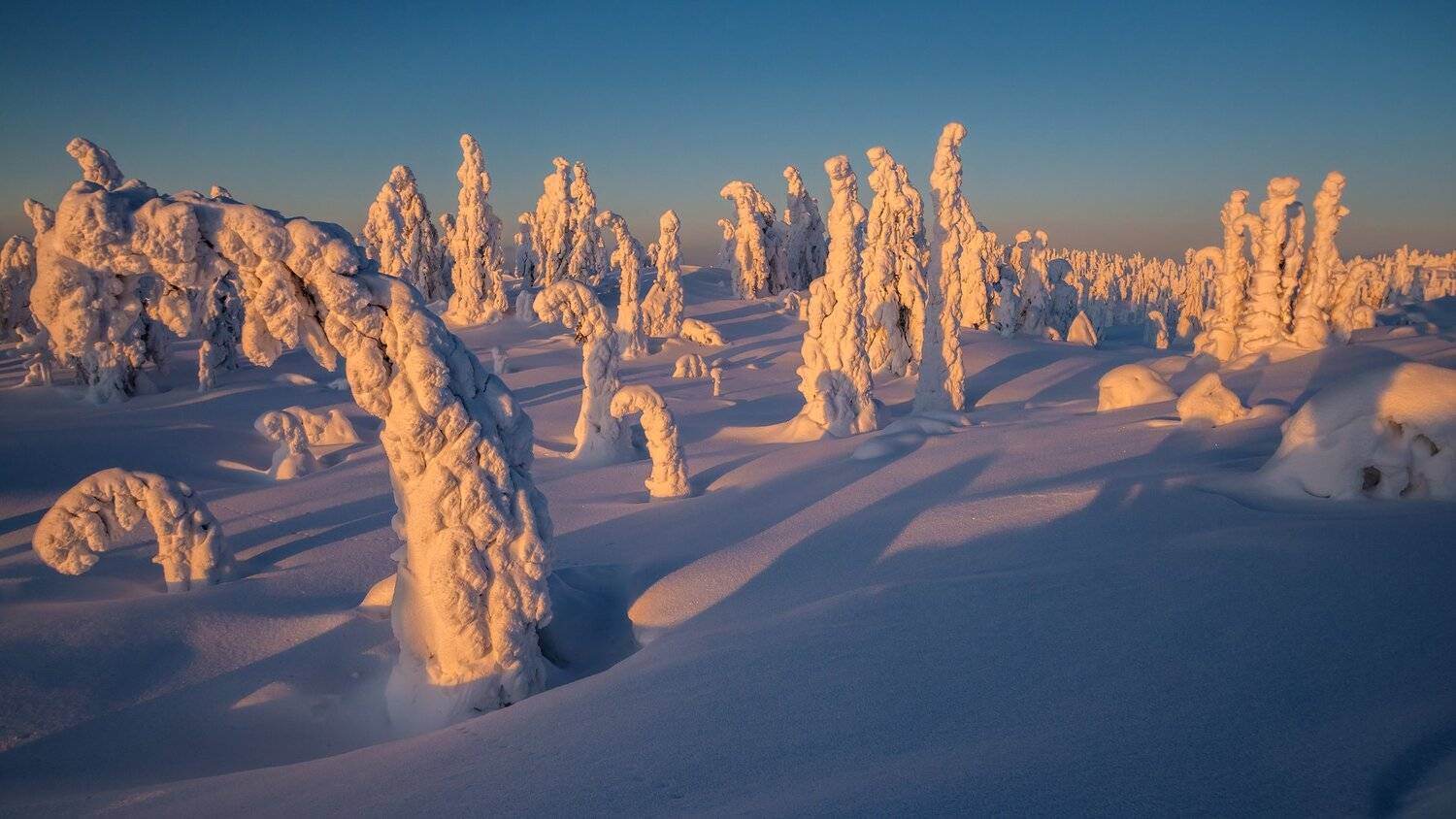 север, кольский, заполярье, кандалакша,гора волостная, Роман Горячий