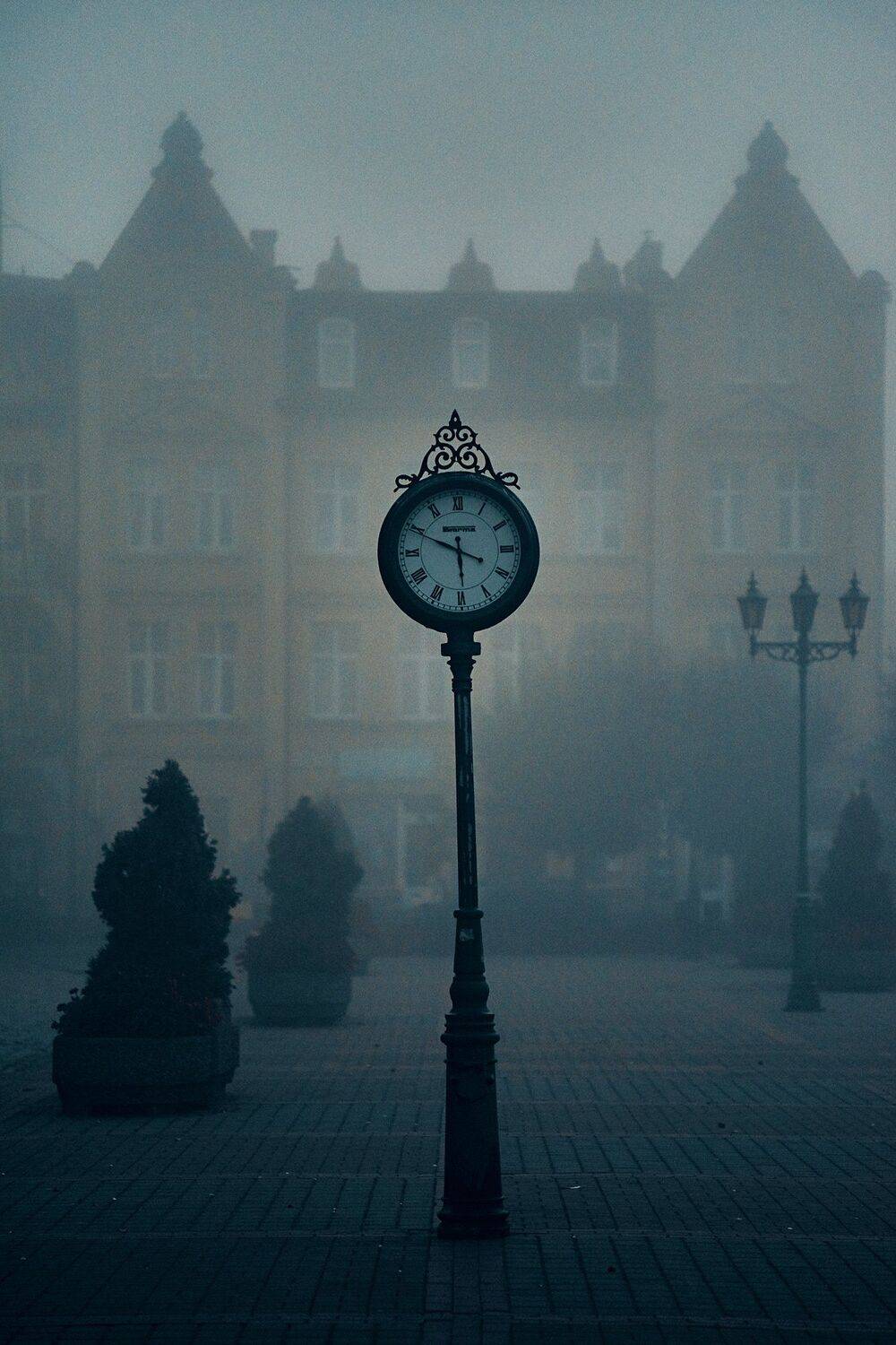 , Александр Фанковин