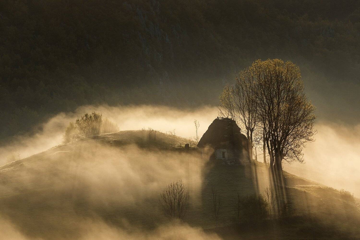 mountain, summer, landscape, travel, natur, romania, colors, apuseni, fog, sunrise, mist, light, Lazar Ioan Ovidiu
