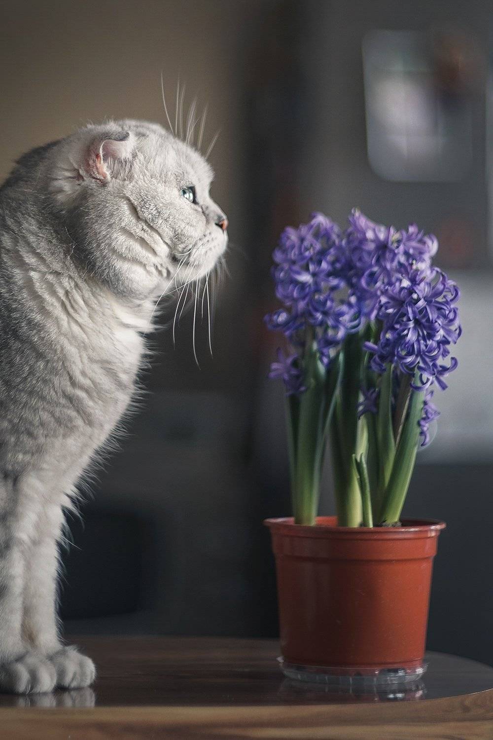 , Тябин Владислав