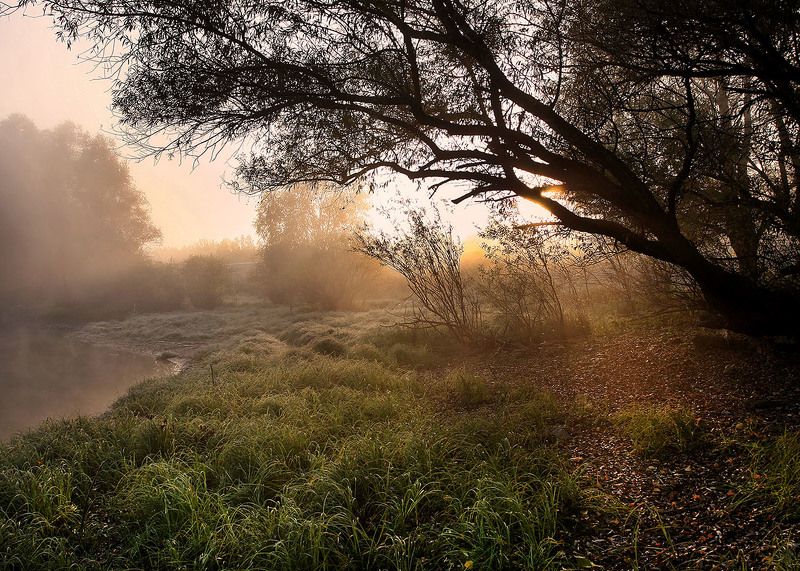 *** фото превью