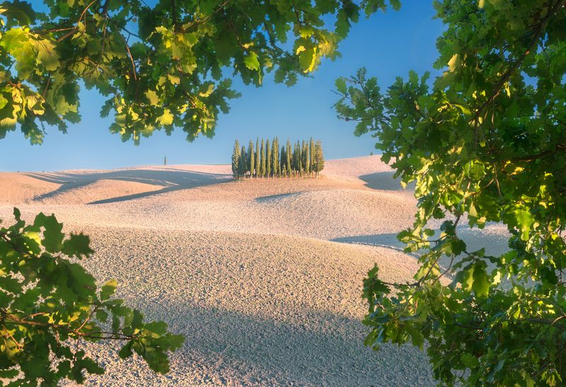 sv-phototravel.com, tuscany На мягких холмах Торениери фото превью