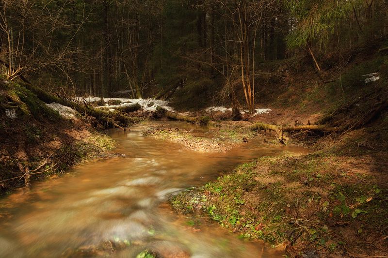лес, весна, река, солнце, солнечный свет В весеннем лесу фото превью