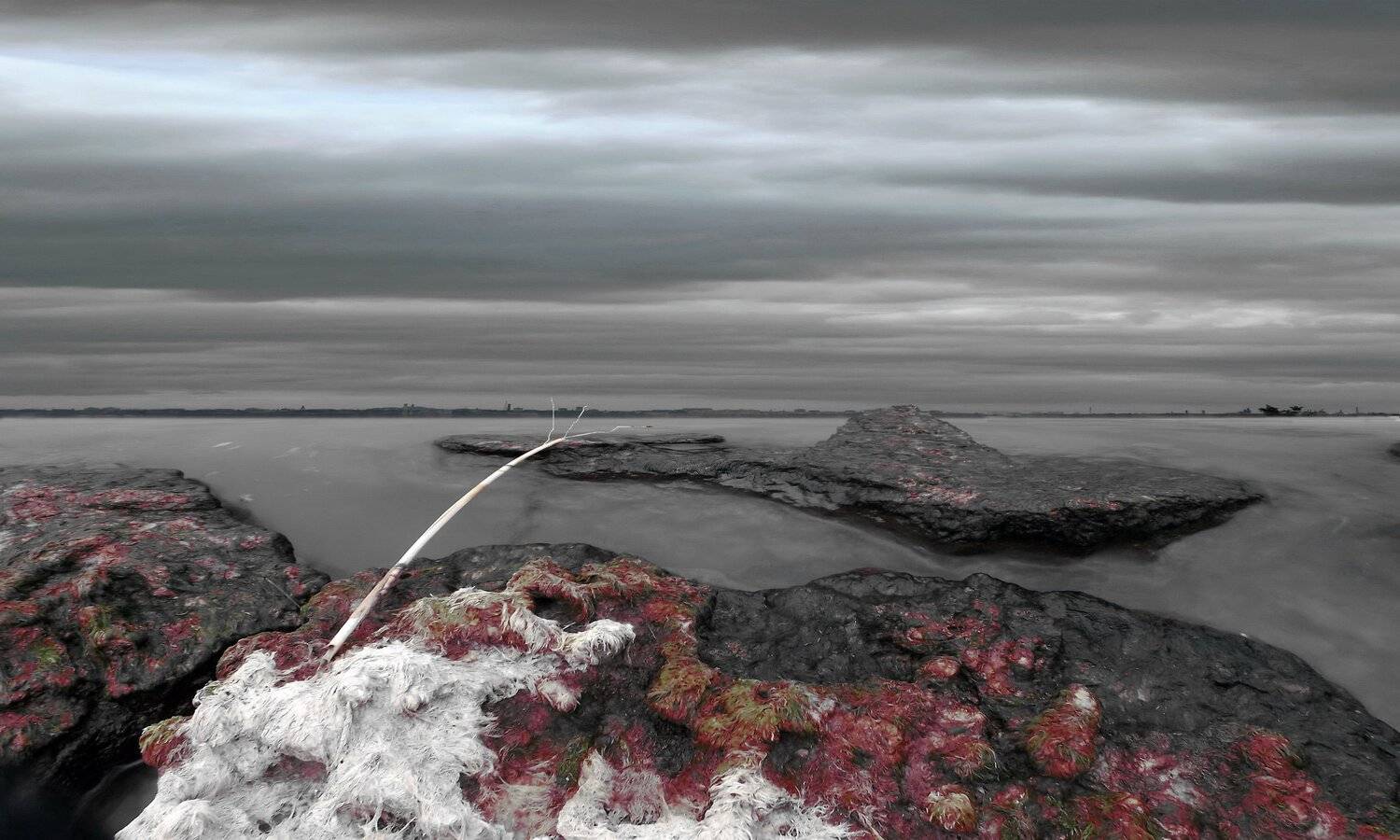 одесса, Сергей Кошелев