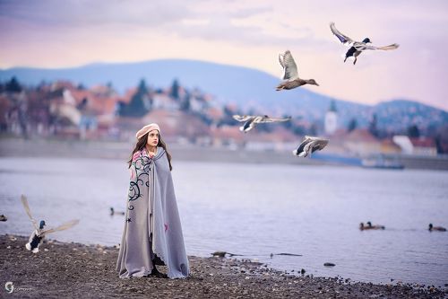 Вечер в Сентендре