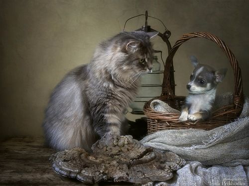 Злая воспитательница