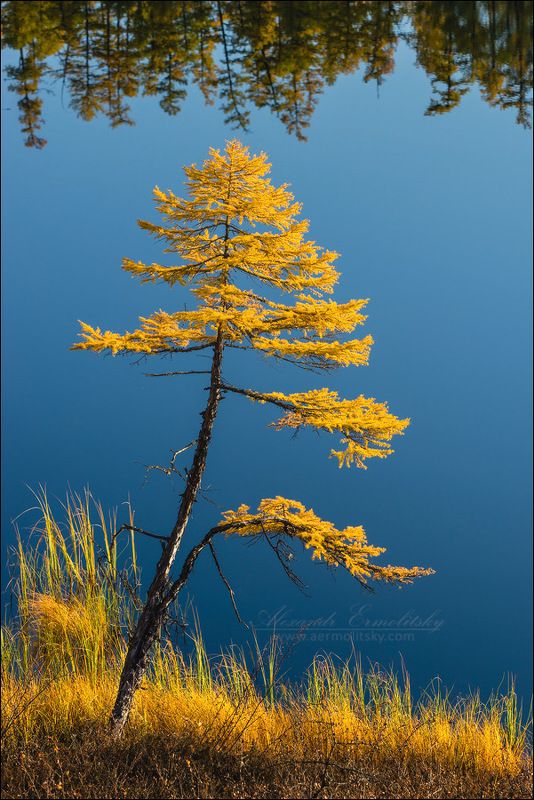 забайкалье ~ На краю ~ фото превью