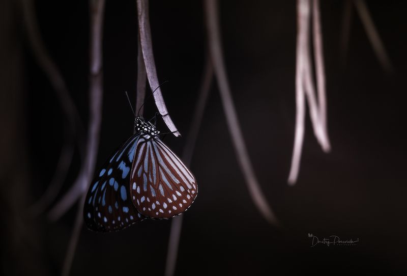 Тихая гавань фото превью