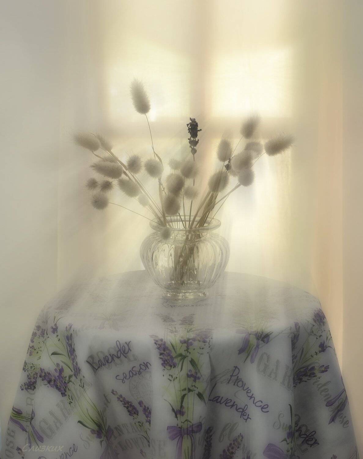 этюд,фантазия, свет,сухоцвет, утро, Инаида