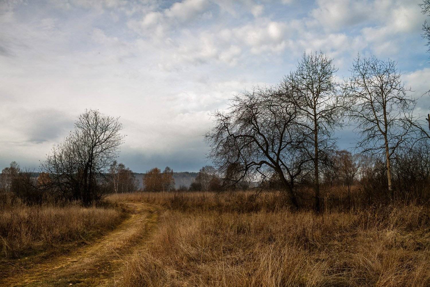 осень, поздняя осень, пасмурный день, Курочкина Диана
