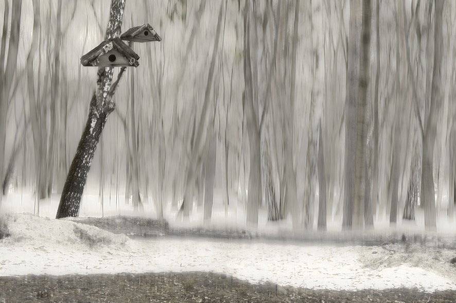 , T. Bondarenko