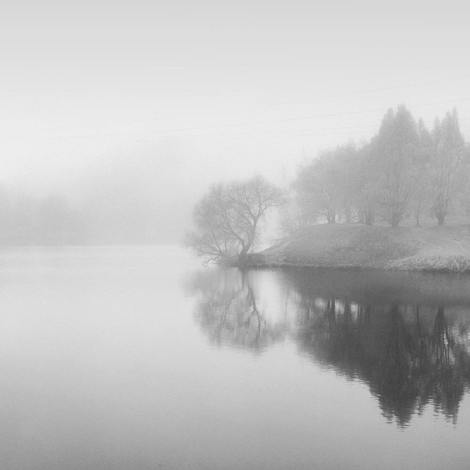 hasseldlad утро туман, Александр Резников