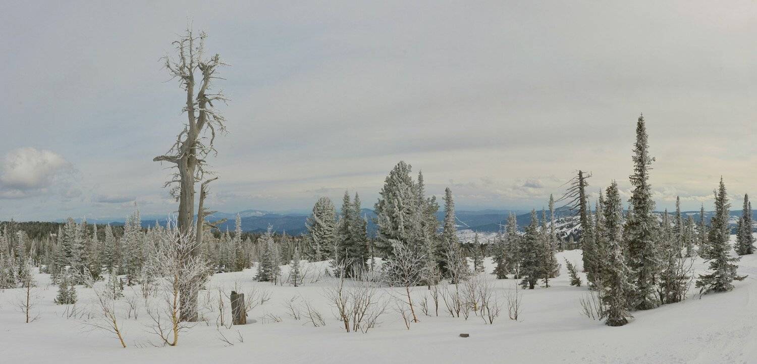 , Сергей Седов