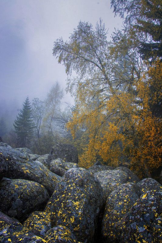 Autumn colors фото превью